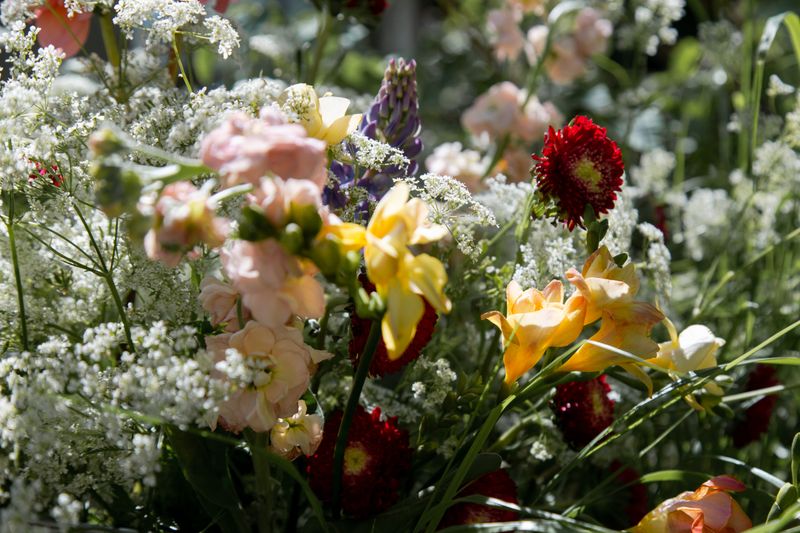 Bouquet de fleurs printanières en promotion chez Interflora