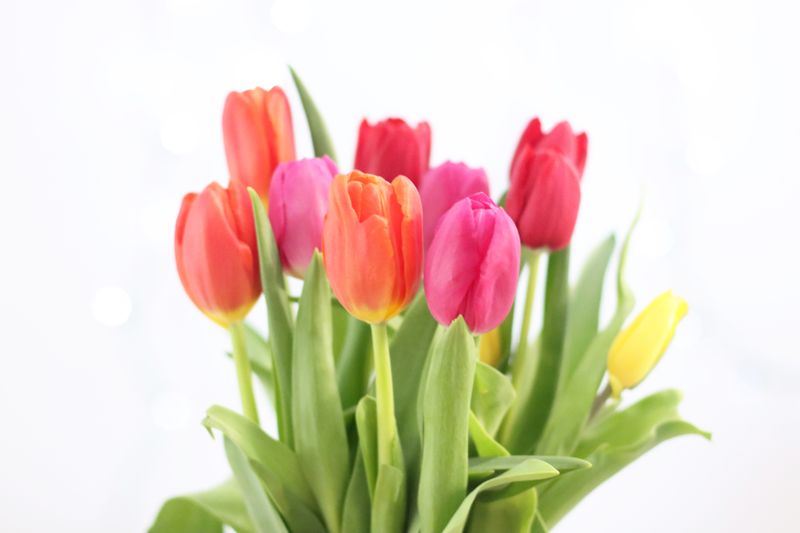 Bouquet estival de fleurs de saison Interflora en promotion